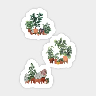 House Plants Sticker